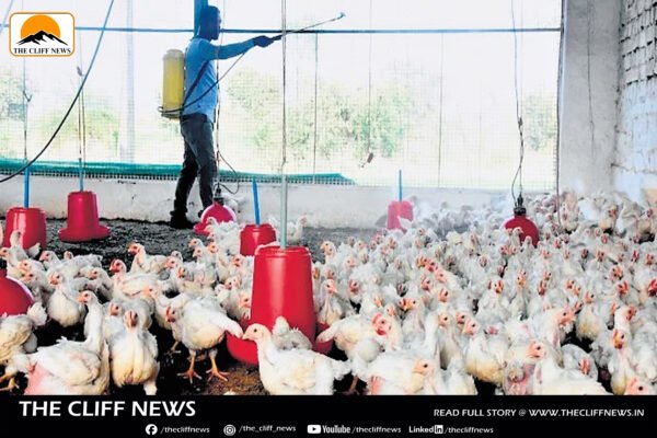 IISc Study Warns of Rising Human Risk from H5N1 Bird Flu Clade
